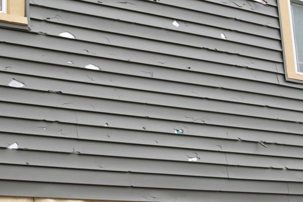 Best Storm Damage Siding Repair  in Cary, NC